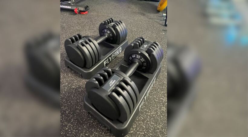 flybird-adjustable-dumbbells:-review,-price-comparisons-&-lots-of-bird-references
